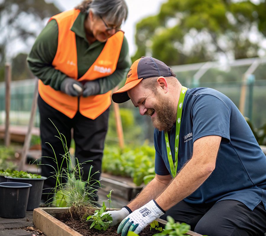 services 12